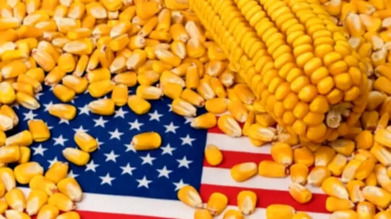 US Leaders: India Deal to Boost American Farm Exports, Counter Russian Aggression