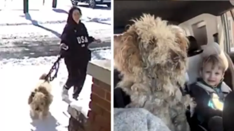 US Vet Tech Faces Charges After Rescuing Abandoned Dog in Snowstorm