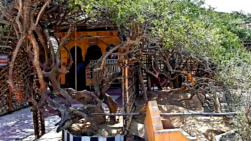 Uttar Pradesh Pioneers Living Heritage Conservation with 948 Heritage Trees