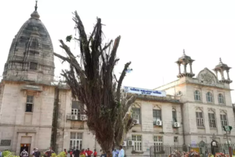 Vadodara Municipal Corporation Aims to Launch India's First Blue Municipal Bonds