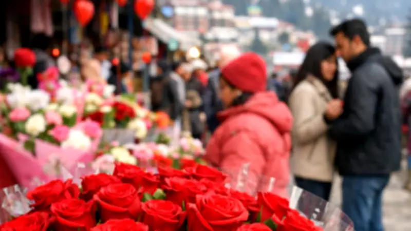 Valentine's Day 2026: Red Roses Hit Rs 100 Each in Shimla Amid High Demand