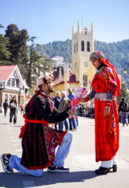 Valentine's Day in Shimla: Tourists Flock, Roses and Gifts Create Memorable Moments