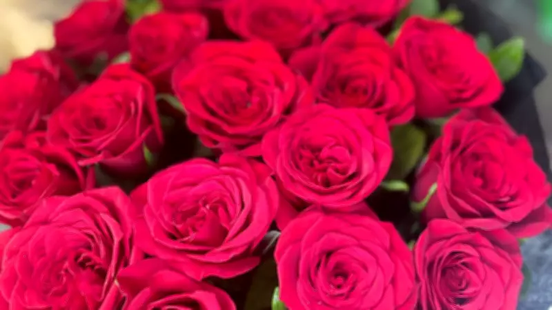 Valentine's Day Rose Prices Soar, Florists Face Losses in Pune Market