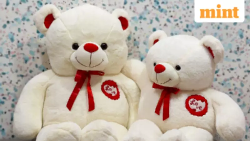 Valentine's Week 2026: Is Tomorrow Teddy Day or Promise Day?