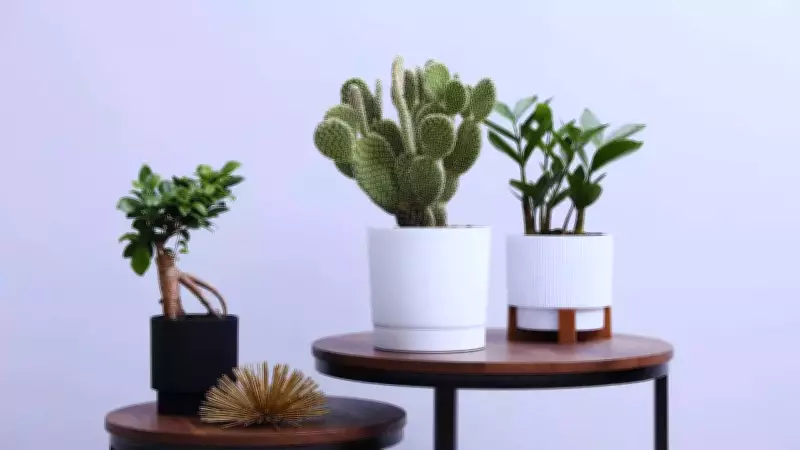 Vastu Alert: 5 Plants to Avoid Near Your Main Door for Positive Energy