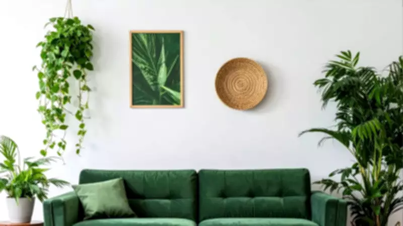 Vastu Shastra: Hidden Home Items That Block Luck and Positive Energy Flow