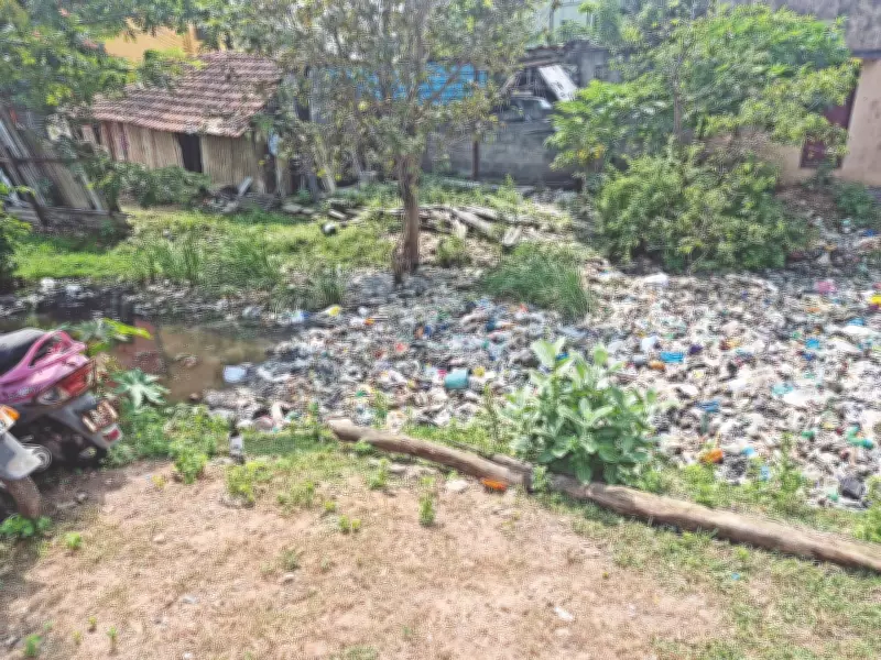 Veeraraghavan Eri Lake Shrinks to 10 Acres Amid Sewage and Encroachment Crisis
