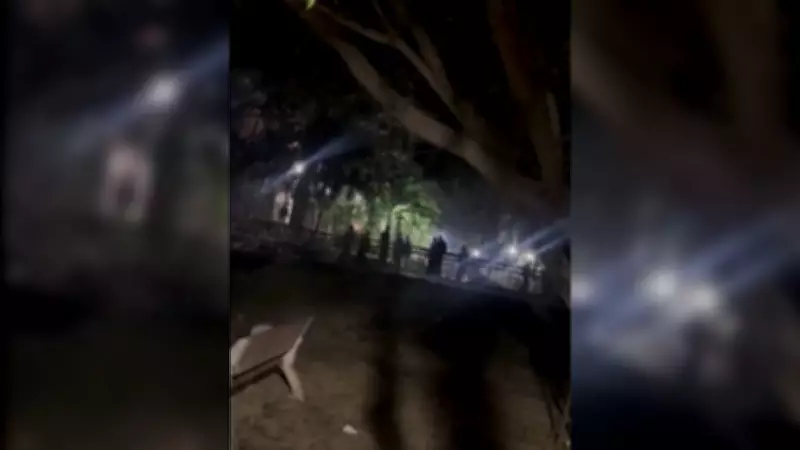 Violent Clash Erupts at JNU Campus, JNUSU and ABVP Trade Allegations