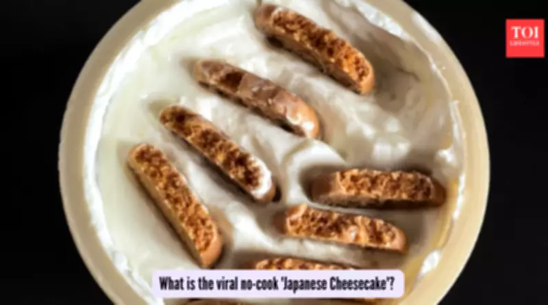 Viral Japanese Yogurt Cheesecake: No-Bake Dessert Taking Over Social Media
