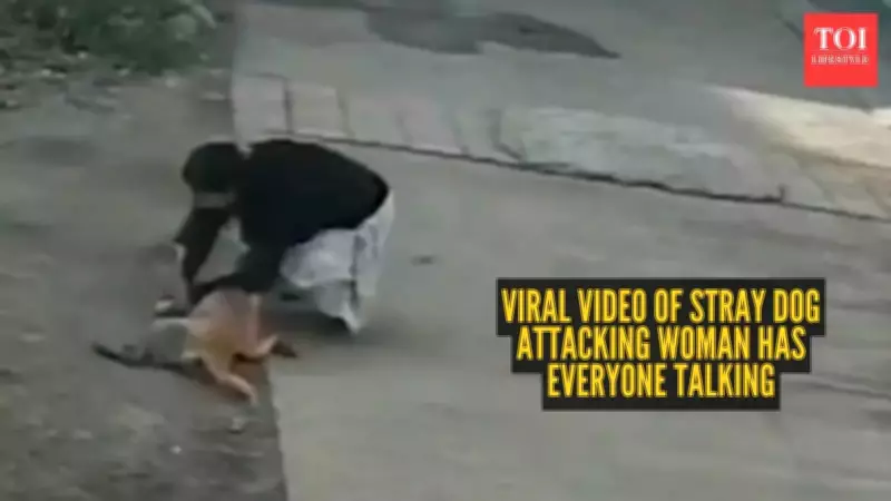 Viral Video of Stray Dog Attack Sparks National Debate on Street Safety and Rabies