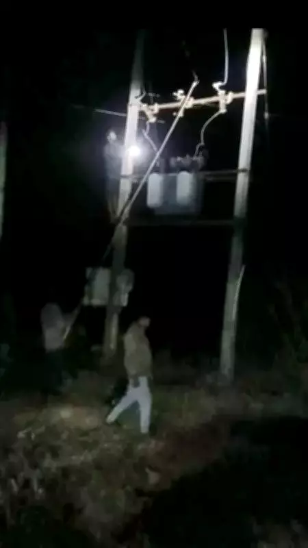 Viral Video Shows Man Climbing Power Pole to Restore Electricity in Gujarat Village