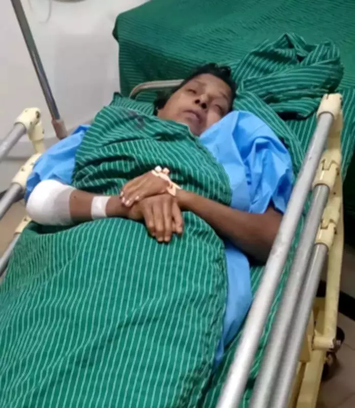 Wild Boar Attack Injures Two Women Workers in Idukki's Nedumkandam