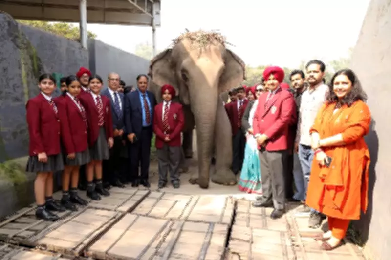 Yadavindra Public School Students Explore Wildlife at Mahendra Chaudhary Zoological Park