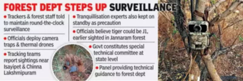 Young Tiger's 300-Km Journey Through Telangana: Forest Officials Monitor Cautious Movement