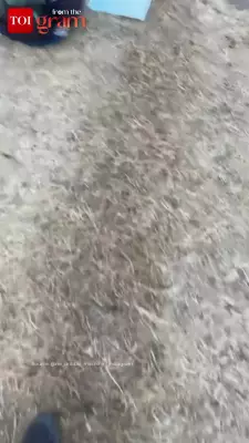 A Boy's Journey: Studying Under Open Sky With Hope and Determination