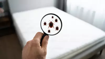 Bengaluru Hotel Fined Rs 75,000 for Unhygienic Conditions in Gurappanapalya