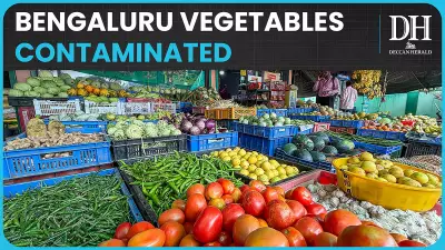 Bengaluru's Vegetable Crisis: 26% Samples Show Lead Contamination