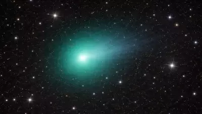 Comet 41P Reverses Spin in Rare Solar System Event, Astronomers Report