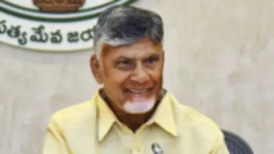 ED Files Fresh Chargesheet in Andhra Pradesh Skills Development Case, Clears CM Naidu