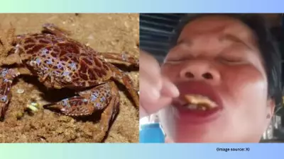 Food Influencer Dies After Eating Toxic 'Devil Crabs' in Philippines Mangroves