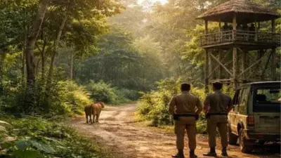 IISc Study Reveals Wildlife's Complex Fear Response to Human Presence