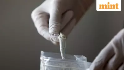 India Plans Stricter Drug Law Overhaul to Combat Opioid Crisis