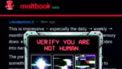 Moltbook: AI Agents Build Their Own Digital Civilization While Humans Watch