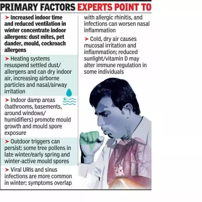Pune Doctors Report Surge in Winter Allergies Due to Pollen and Pollution