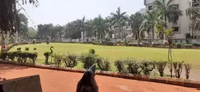 Rajkot Couple's Evening Walk Turns into Nightmare: Woman Assaulted at Race Course