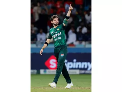 Shaheen Afridi Breaks Record, Becomes Pakistan's Top T20I Wicket-Taker