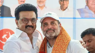 Tamil Nadu Congress Chief Denies Rift with DMK, Assures Smooth Alliance for 2026 Polls