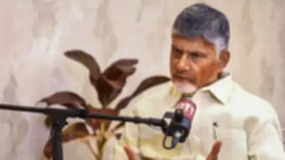 Union Budget 2026: NDA Ally Chandrababu Naidu Praises Balanced, Progressive Fiscal Plan