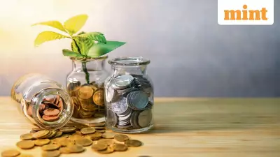 WestBridge Capital Bets $45M on Climate Tech with Carbon Removal Firm Varaha