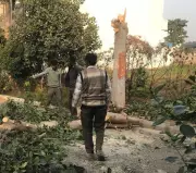 20 Heritage Trees Axed in Jalandhar: Gurdwara Management, Building Owner Face Legal Trouble