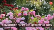7 Fragrant Flowers to Transform Your Garden into a Sensory Sanctuary