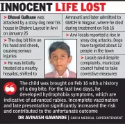 8-Year-Old Boy Succumbs to Rabies After Stray Dog Attack in Arvi, Maharashtra