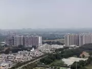 Ahmedabad's Shela Area Faces Waterlogging Crisis Due to Poor Infrastructure Planning