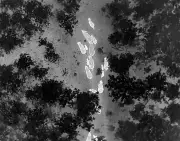 AI Thermal Drones Track Chhattisgarh Elephants at Night, Enhancing Forest Monitoring