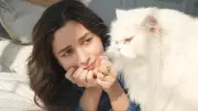 Alia Bhatt Shares Life Wisdom from Her Cats: Detachment and Sleep