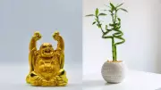 Ancient Feng Shui Artifacts: Harness Positive Energy for Health & Abundance