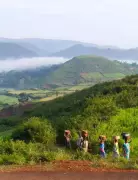 Araku Coffee Yield Nears Target in ASR District, Boosting Farmer Morale