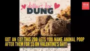 Baltimore Zoo's 'Dollars for Dung' Campaign Turns Exes into Animal Dung for Valentine's Day