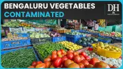 Bengaluru's Vegetable Crisis: 26% Samples Show Lead Contamination