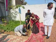 Bhiwani's Unique Bhat Ceremony: Saplings Replace Gold as Prized Gifts