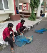 Bhubaneswar Civic Body Identifies 457 Sites for Stray Dog Rehabilitation Drive