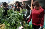 Bihar Launches Horticulture Festival, Unveils 'ATM Model' for Farmers