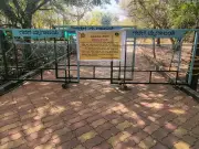 Binkadakatti Zoo's Swift Action Saves Animals from Deadly Bacterial Outbreak