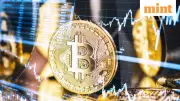 Bitcoin Crashes Below $65,000 Amid Extreme Fear, Trump Presidency Volatility