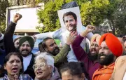 BJP Workers Protest in Amritsar Over Rahul Gandhi's 'Traitor' Remark Against Minister
