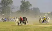 Bullock Cart Races Triumphantly Return to Kila Raipur Rural Games After 12-Year Hiatus